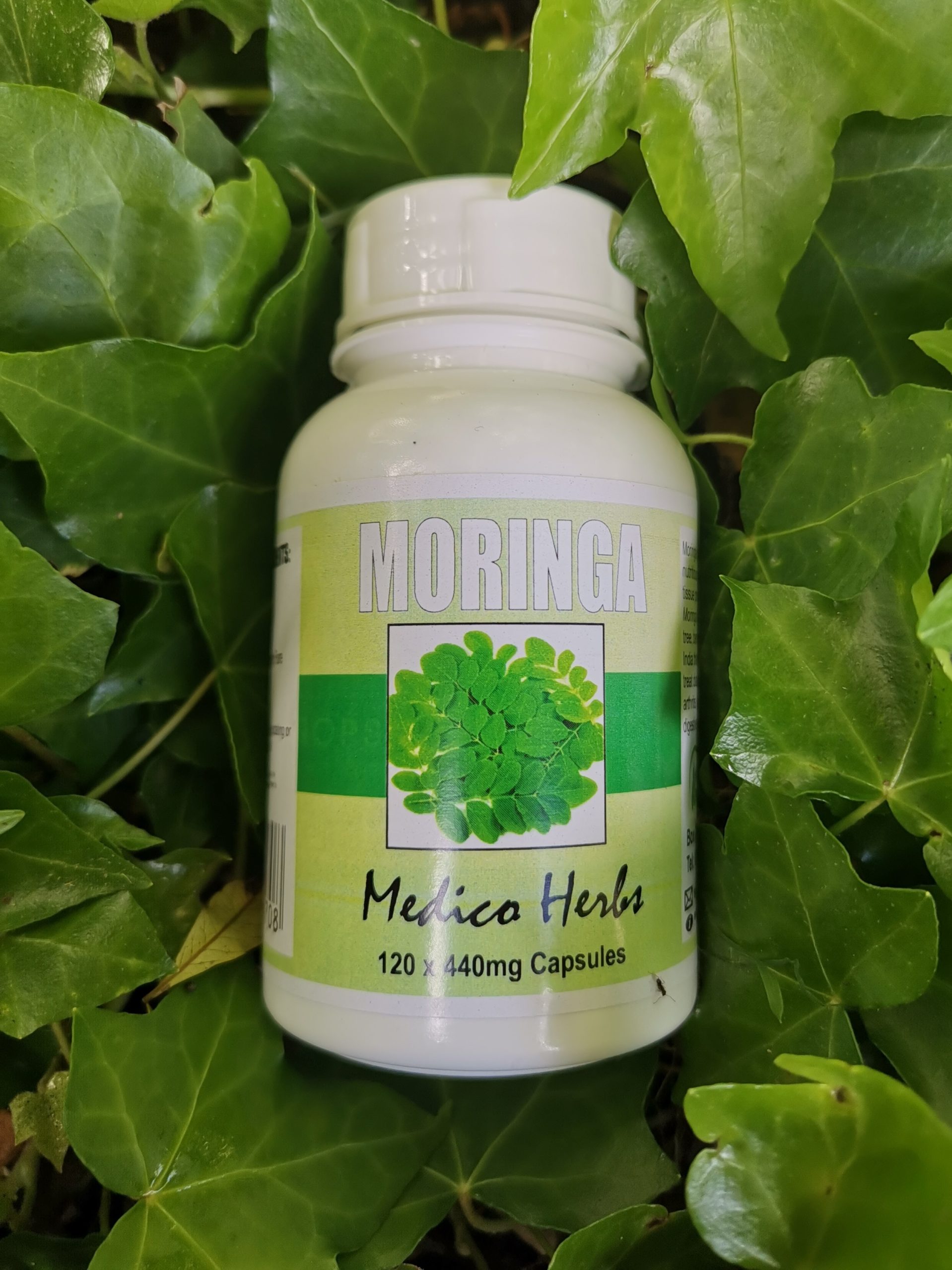 Moringa-capsules-scaled-1.jpg